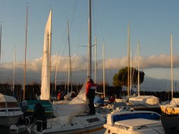 Saint-Nicolas 2008